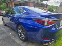 
										2019 Lexus ES 350 full									