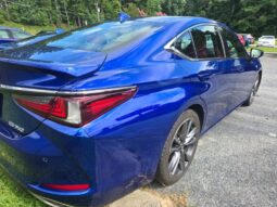 
										2019 Lexus ES 350 full									