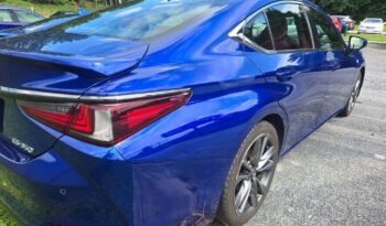 2019 Lexus ES 350